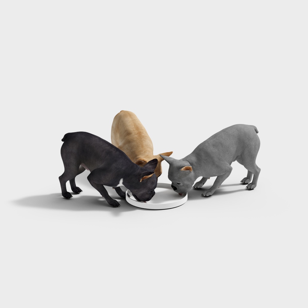 狗