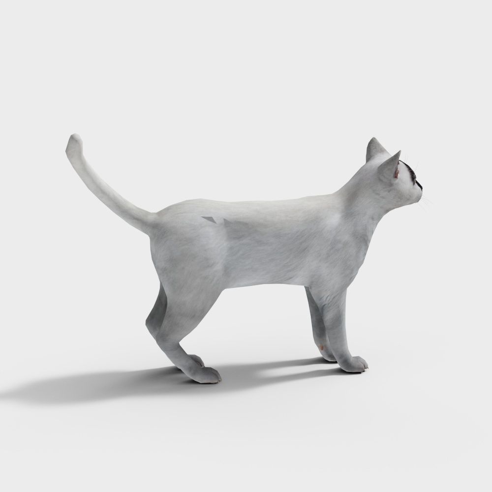白猫3D模型