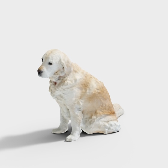 Golden Retriever 3D Model in White