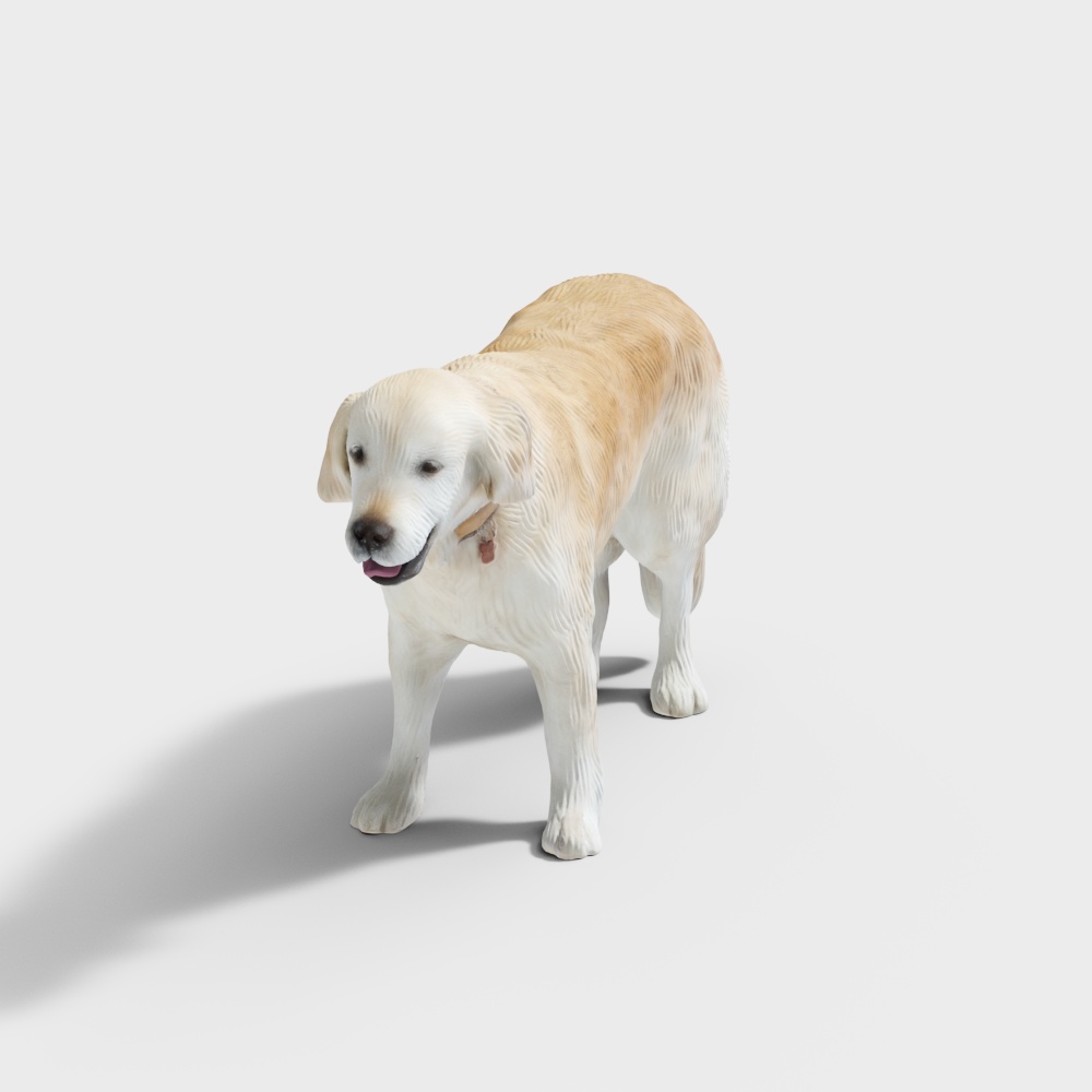 金毛3D模型