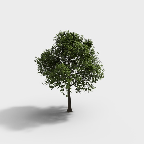 Modern Large Tree