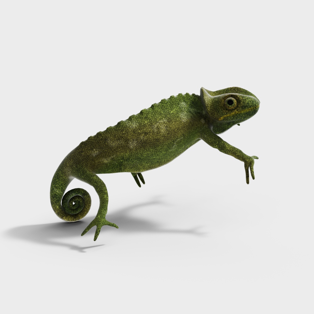 爬宠3D模型