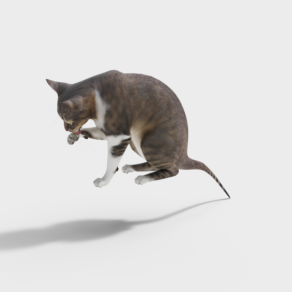 猫3D模型