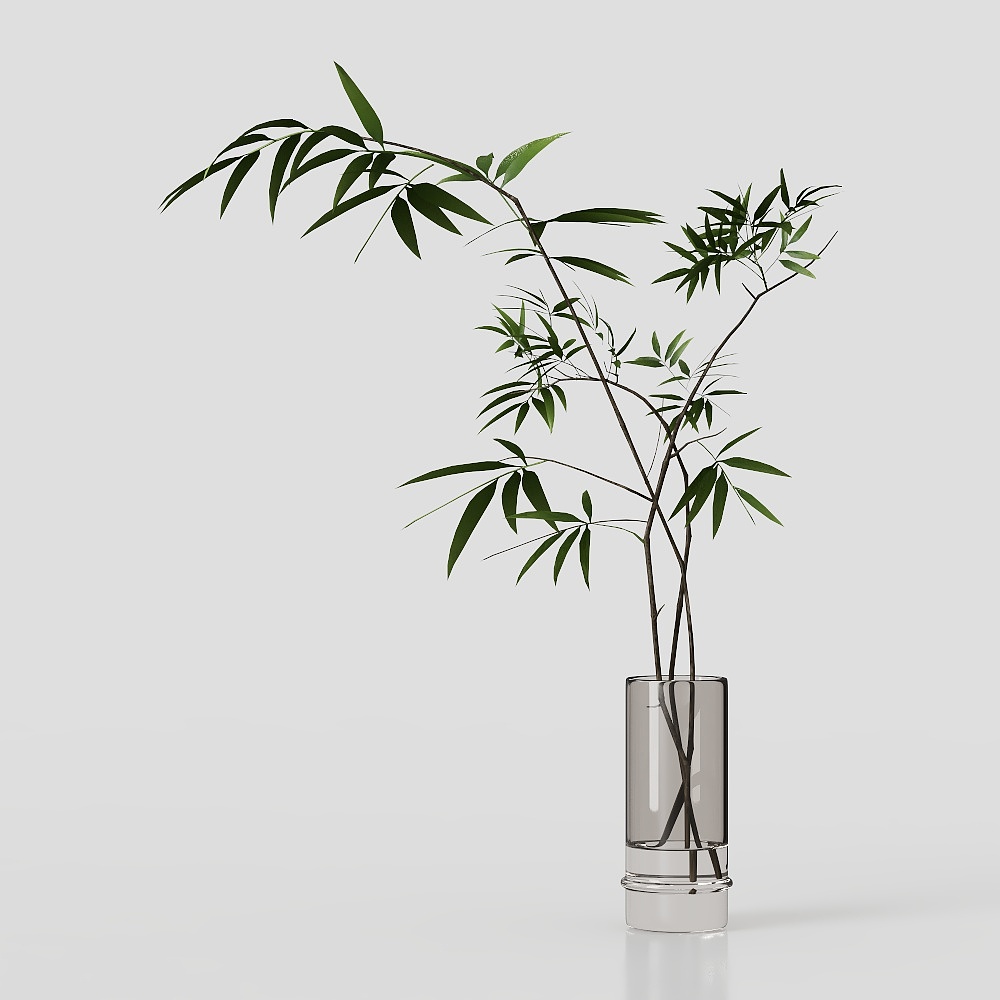 茶几绿植(2020)