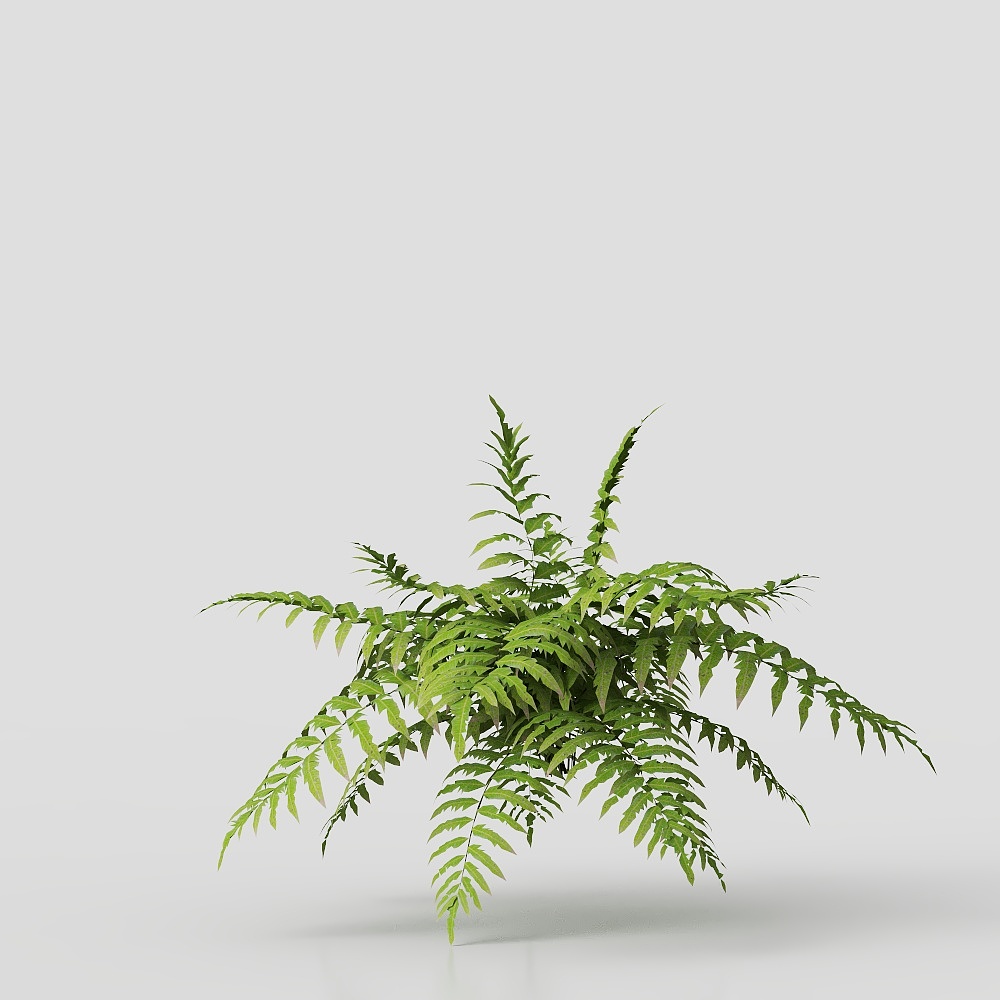 绿植小树（新）