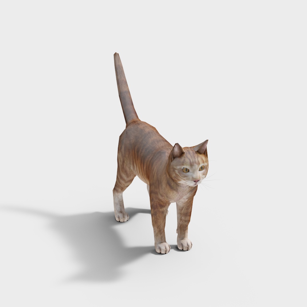 猫咪3D模型
