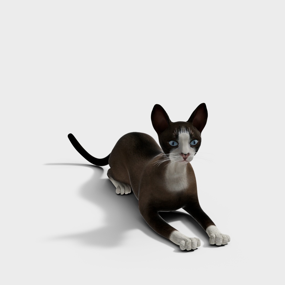 猫咪3D模型
