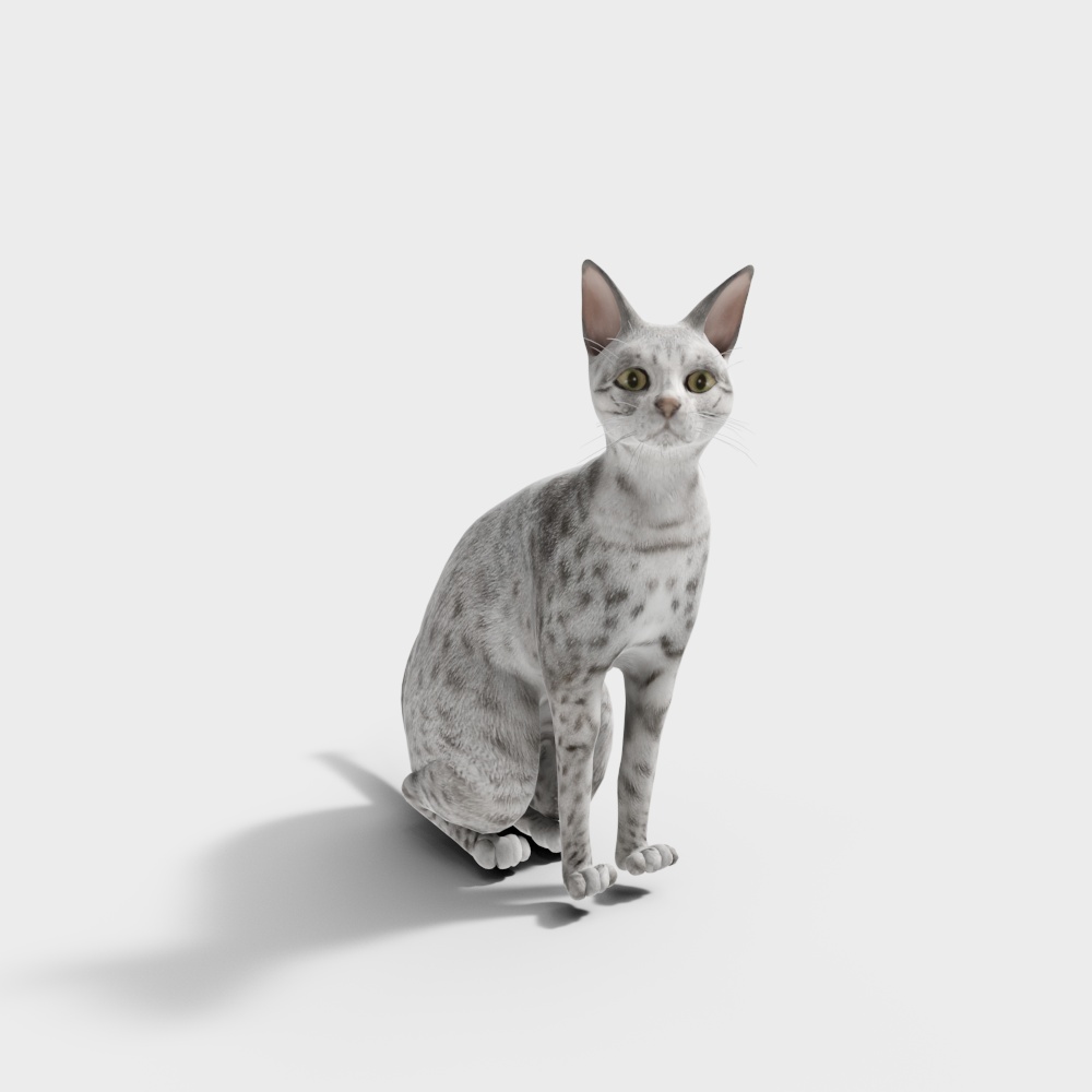 猫咪3D模型