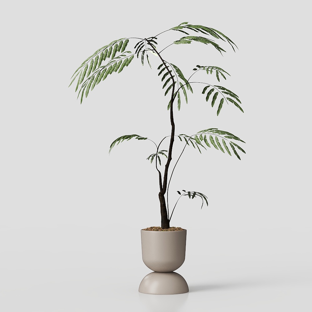 0920-黑白植物