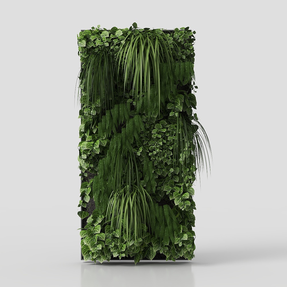中式庭院植物墙