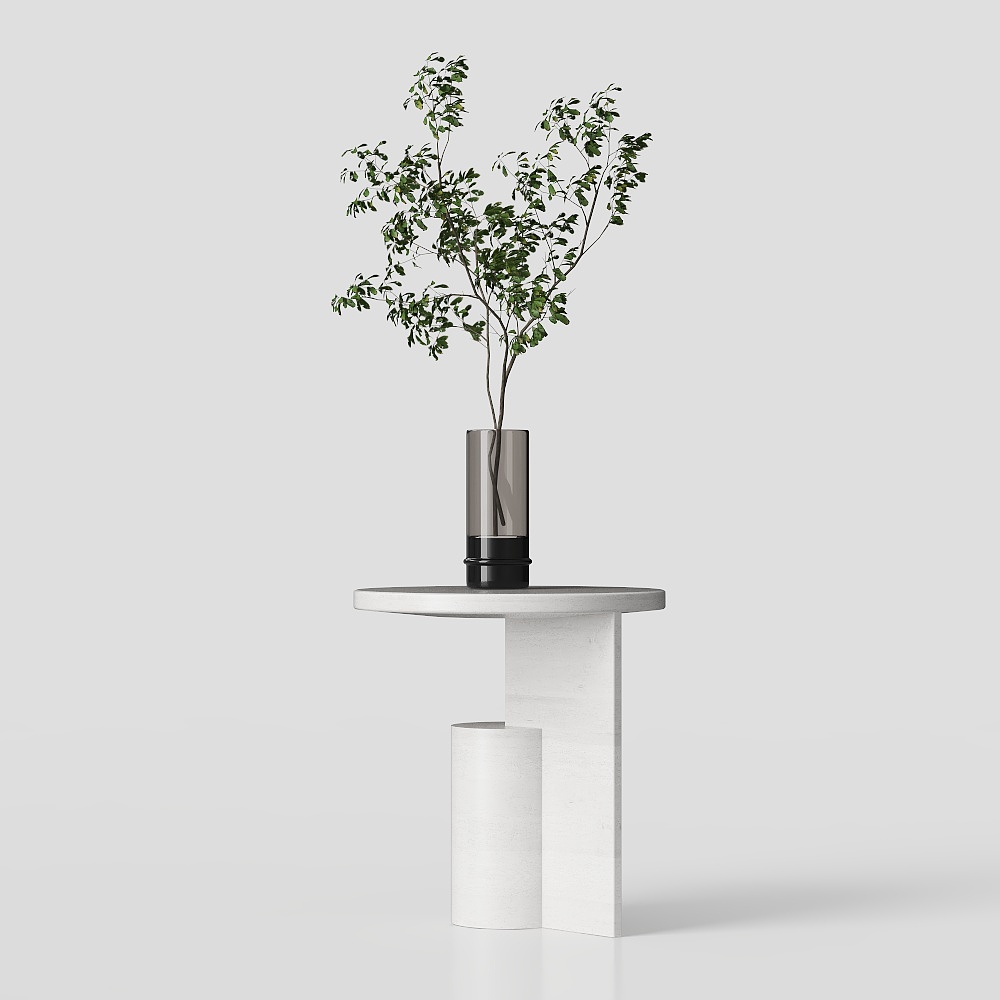 0922-成品书桌植物