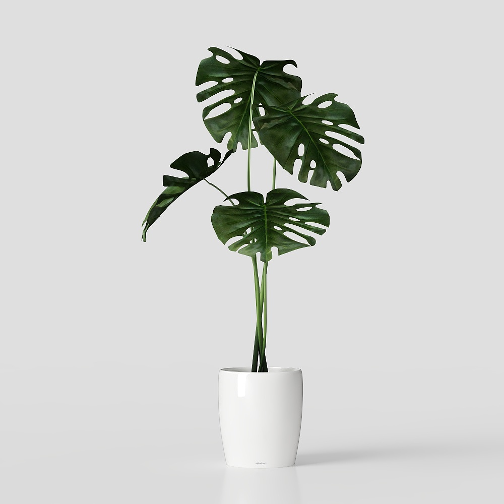 现代绿植摆件