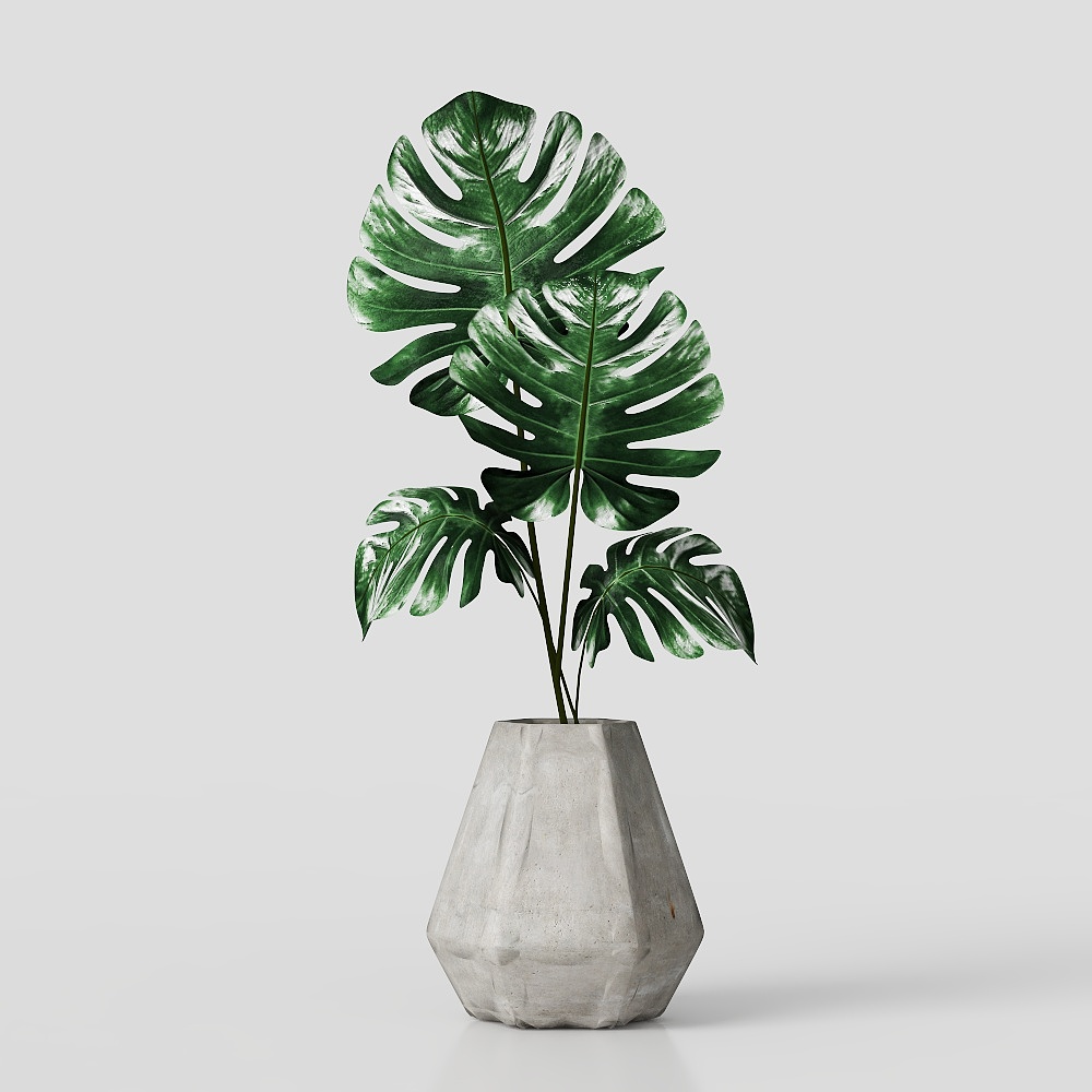 现代绿植摆件3D模型