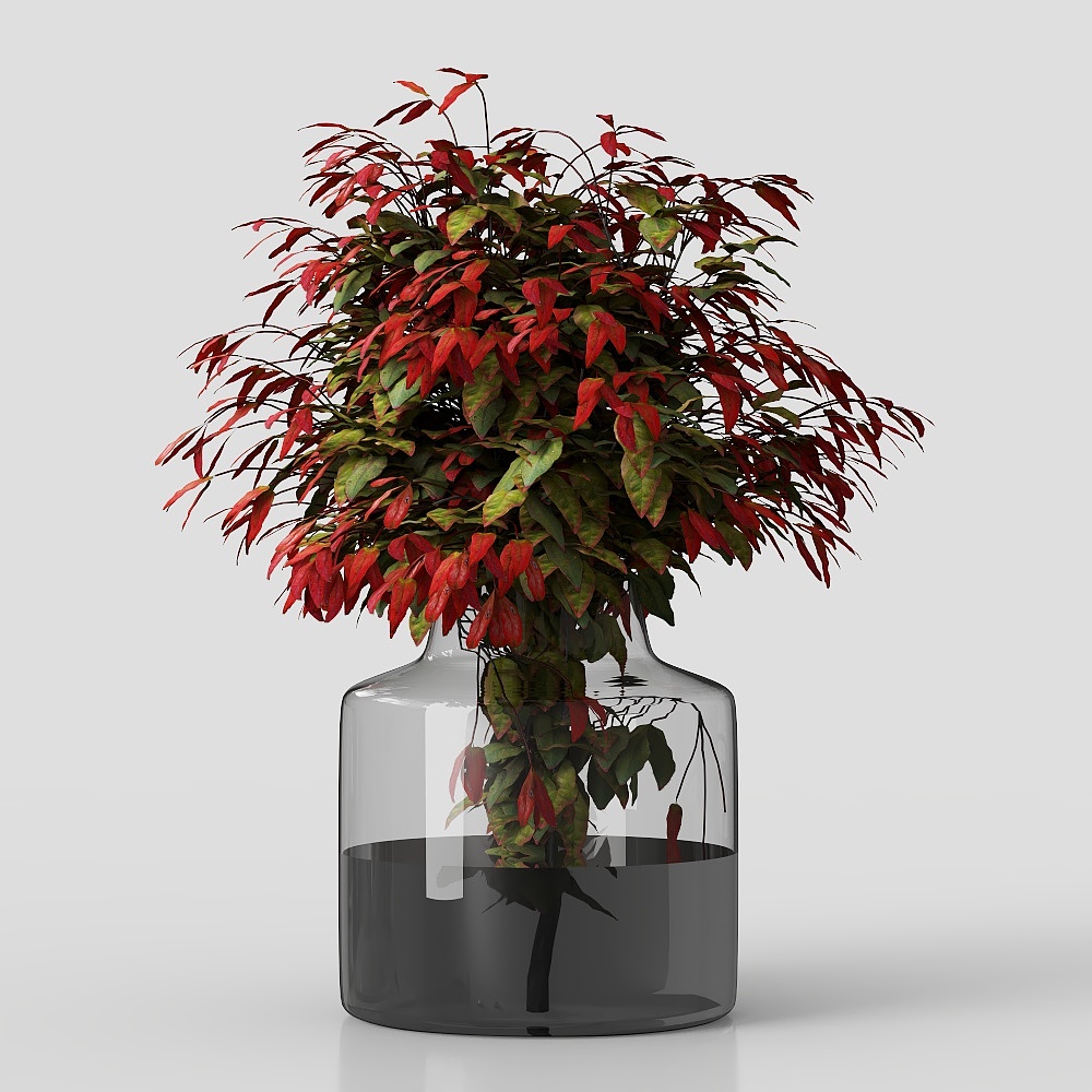花瓶绿植