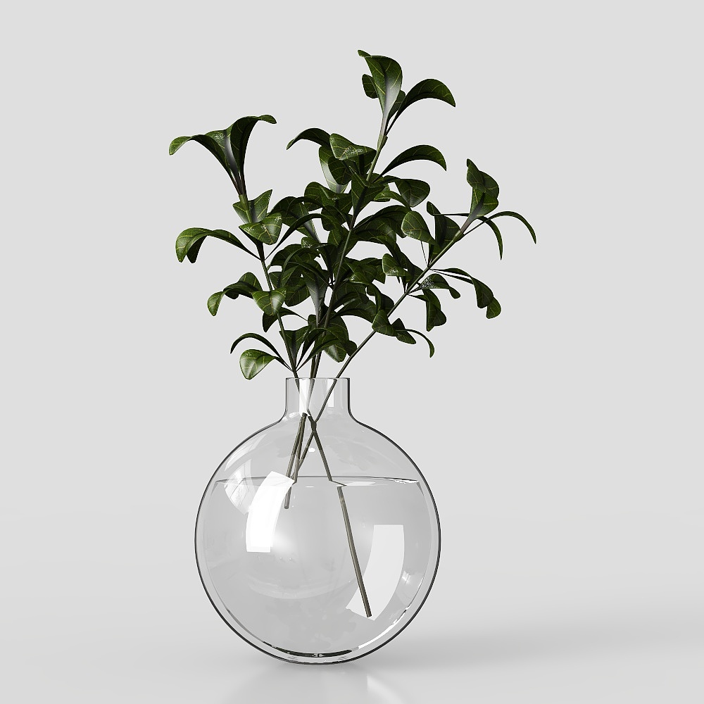 现代水生植物3D模型