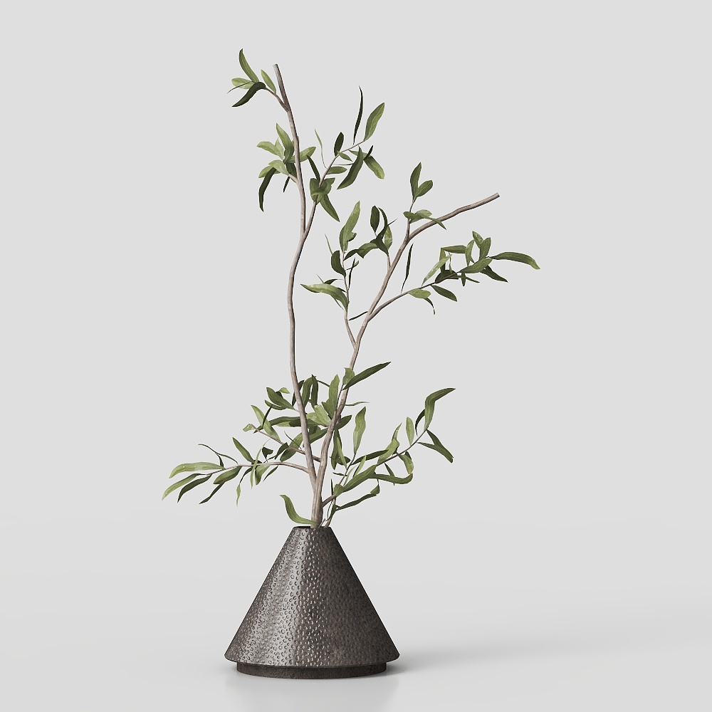 绿植盆栽