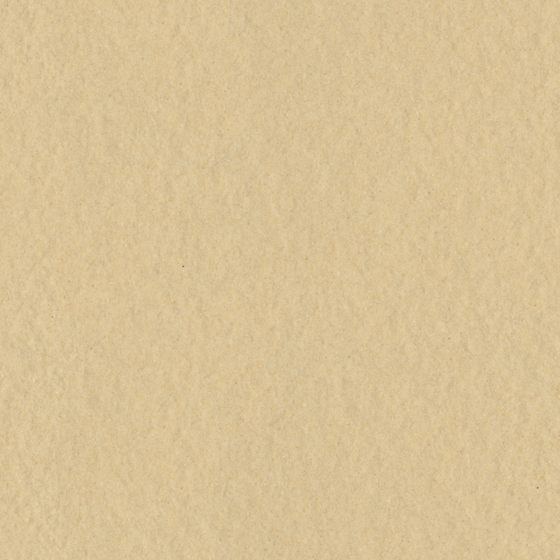 ZA0034-2401 Light Gold Beige