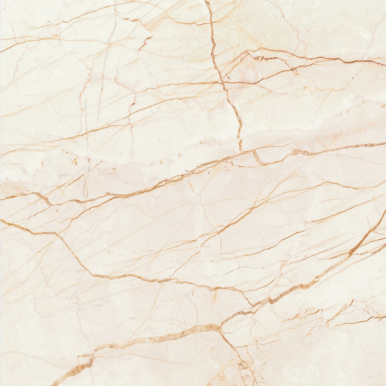Coffee Net Marble Tile 3D Model - 1000*1000 in Beige