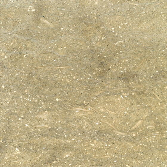 Turkish Beige Marble 3D Model 800x800