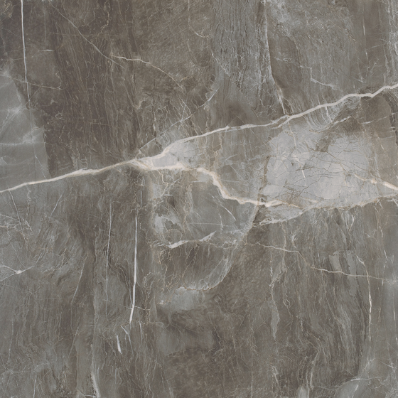 Fantasy Grey Marble 1000*1000 in Gray
