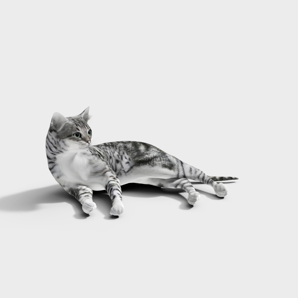 小猫