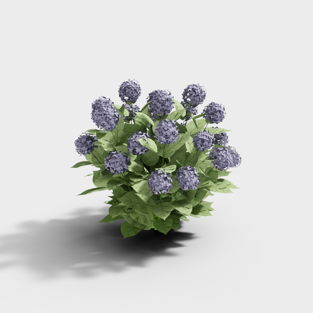 现代花草植物