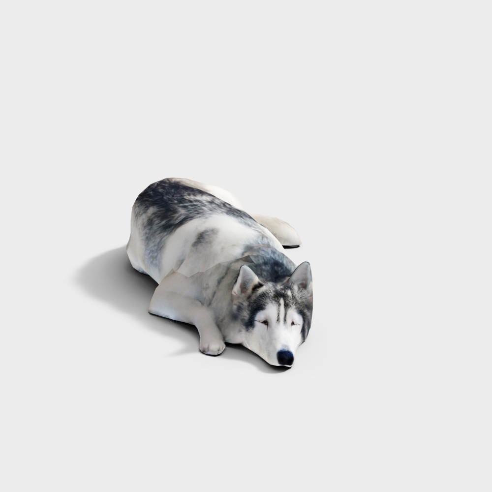 哈士奇3D模型
