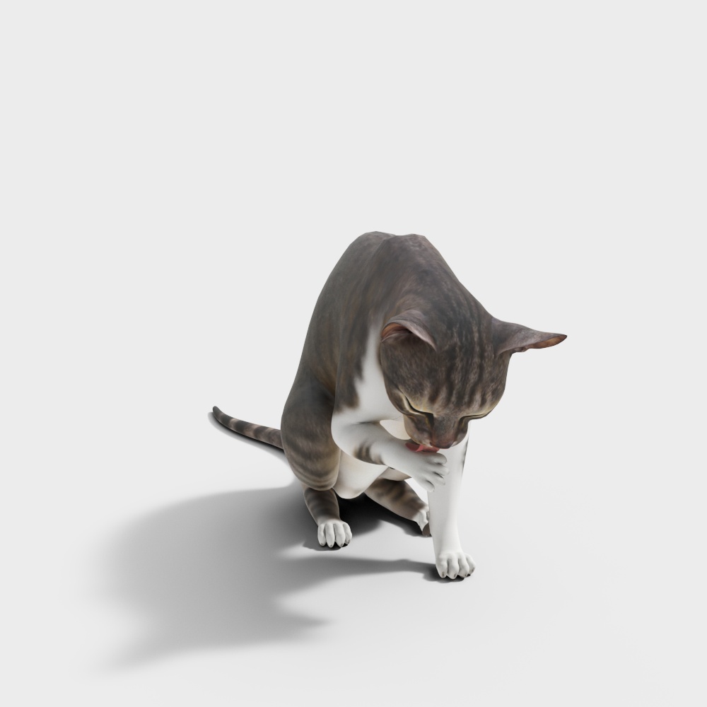 猫3D模型