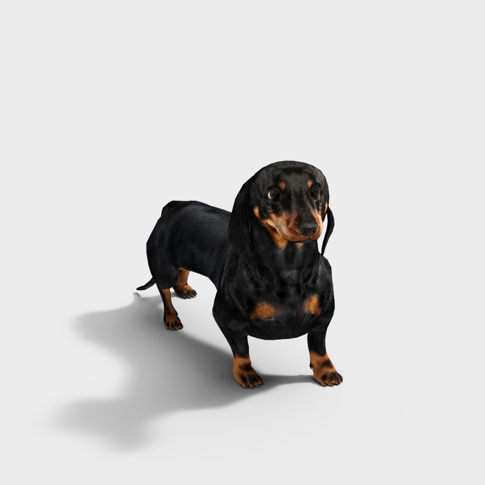 腊肠犬3D模型