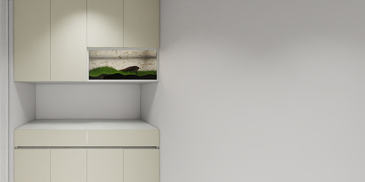 设计师冷如宾-绿城诚园-装修设计方案