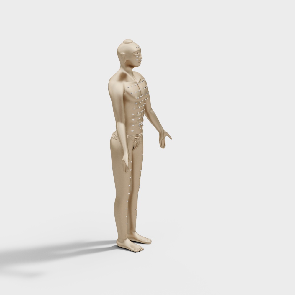 中医馆经络人物装饰3D模型