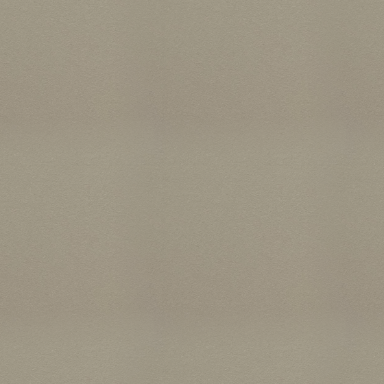 Beige Mango Tree Wood Panel 3D Model