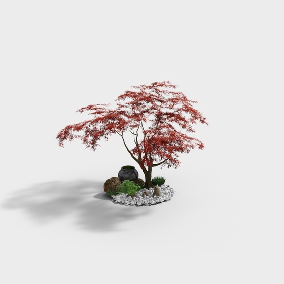 Courtyard Red Maple Tree 3D Model in Beige