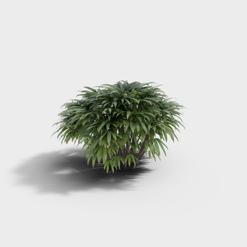 现代植物3D模型