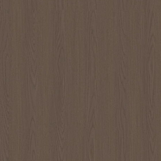 Sicilian Elm-1