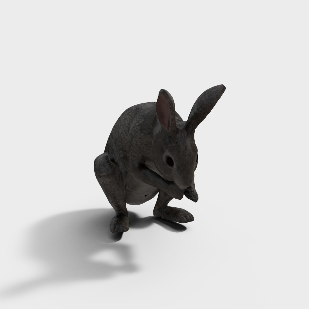 兔子3D模型