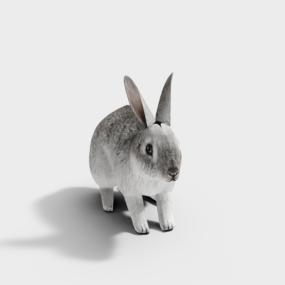 兔子3D模型