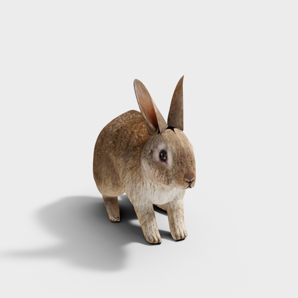 兔子3D模型