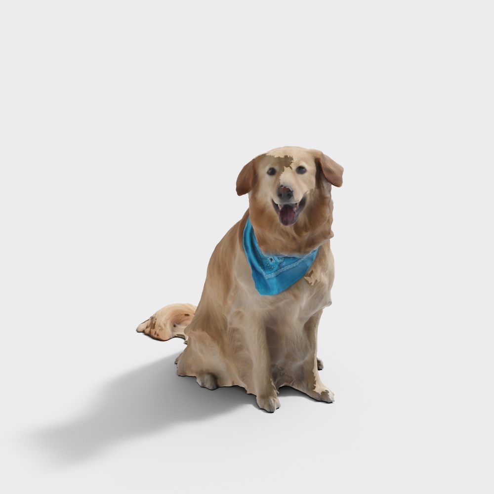 金毛犬