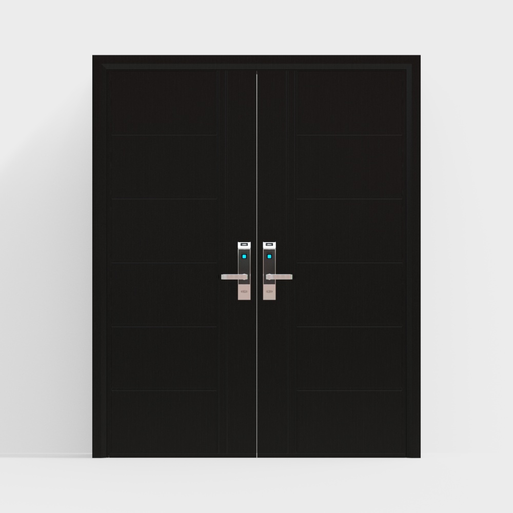 现代入户防盗双开门