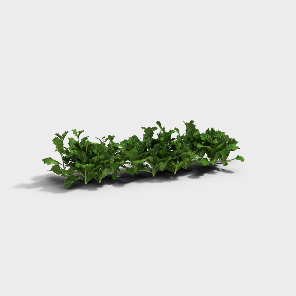 菜地3D模型