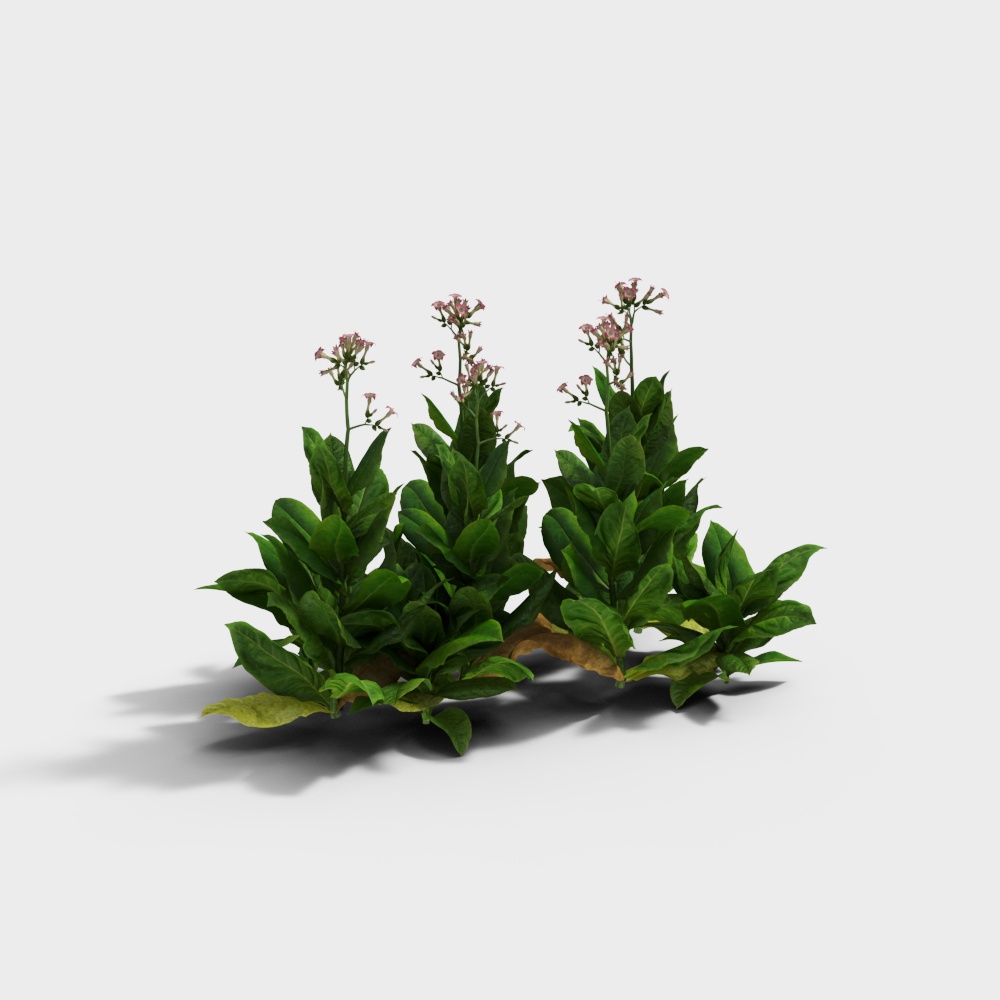 现代花草组合3D模型