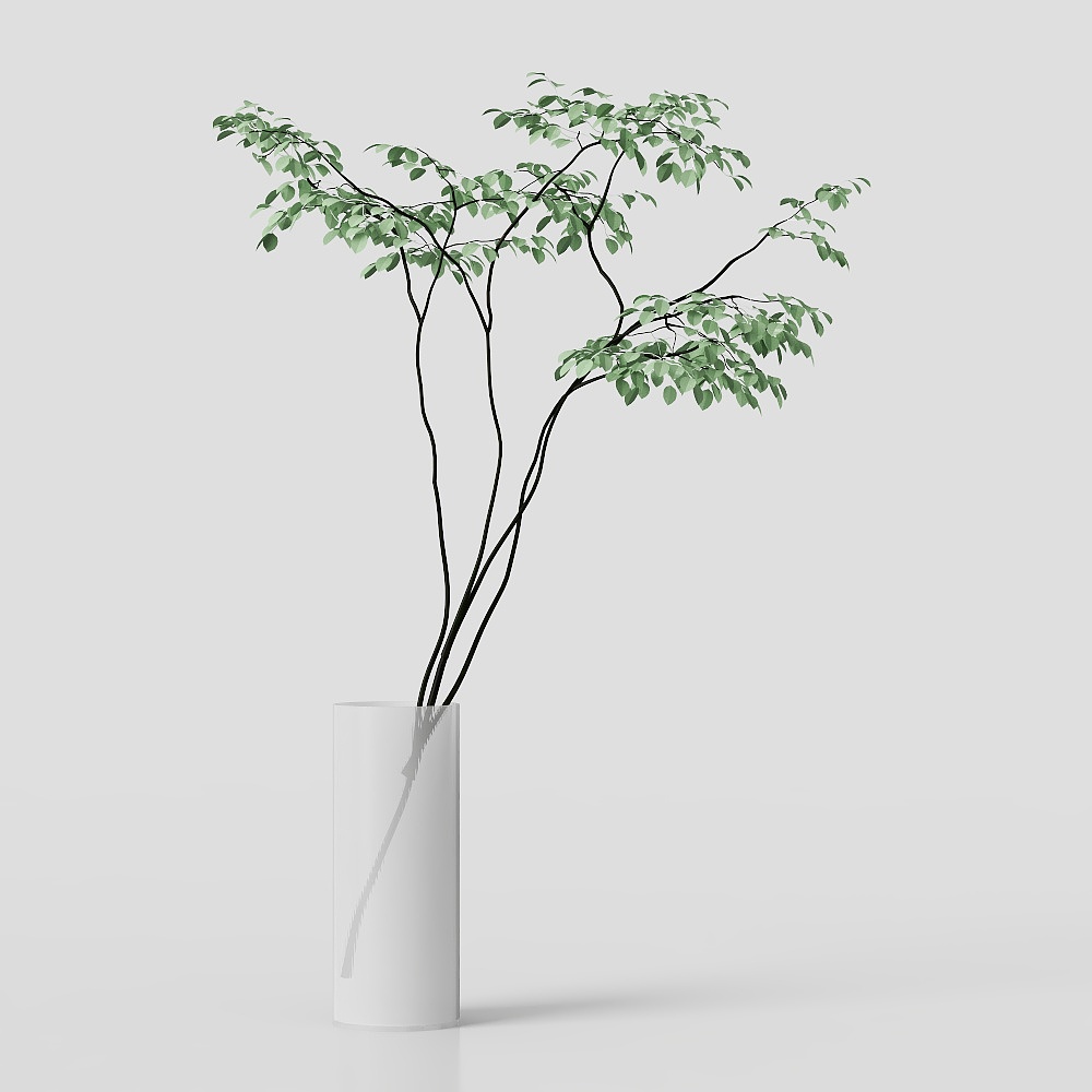 绿植3D模型