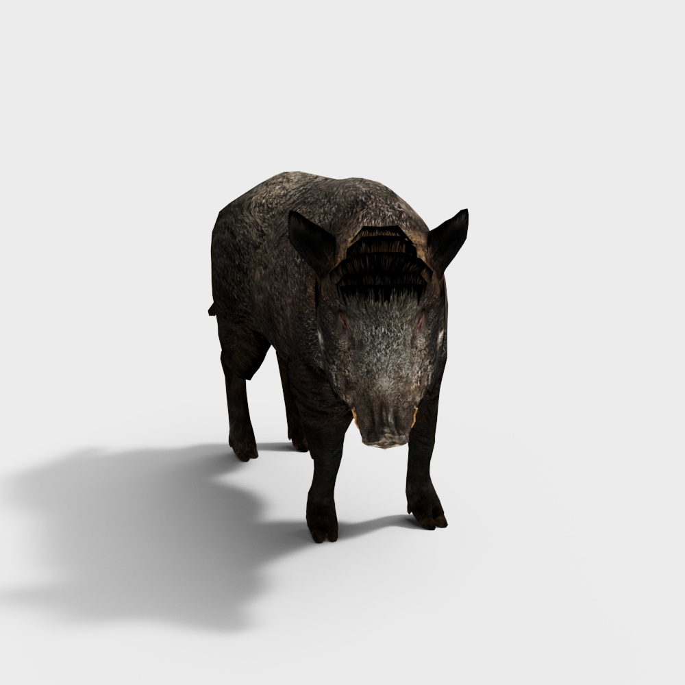 野生动物野猪3D模型