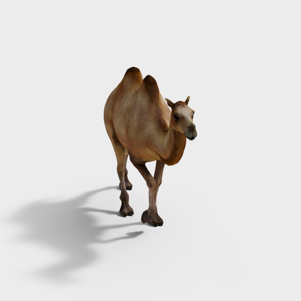 骆驼3D模型