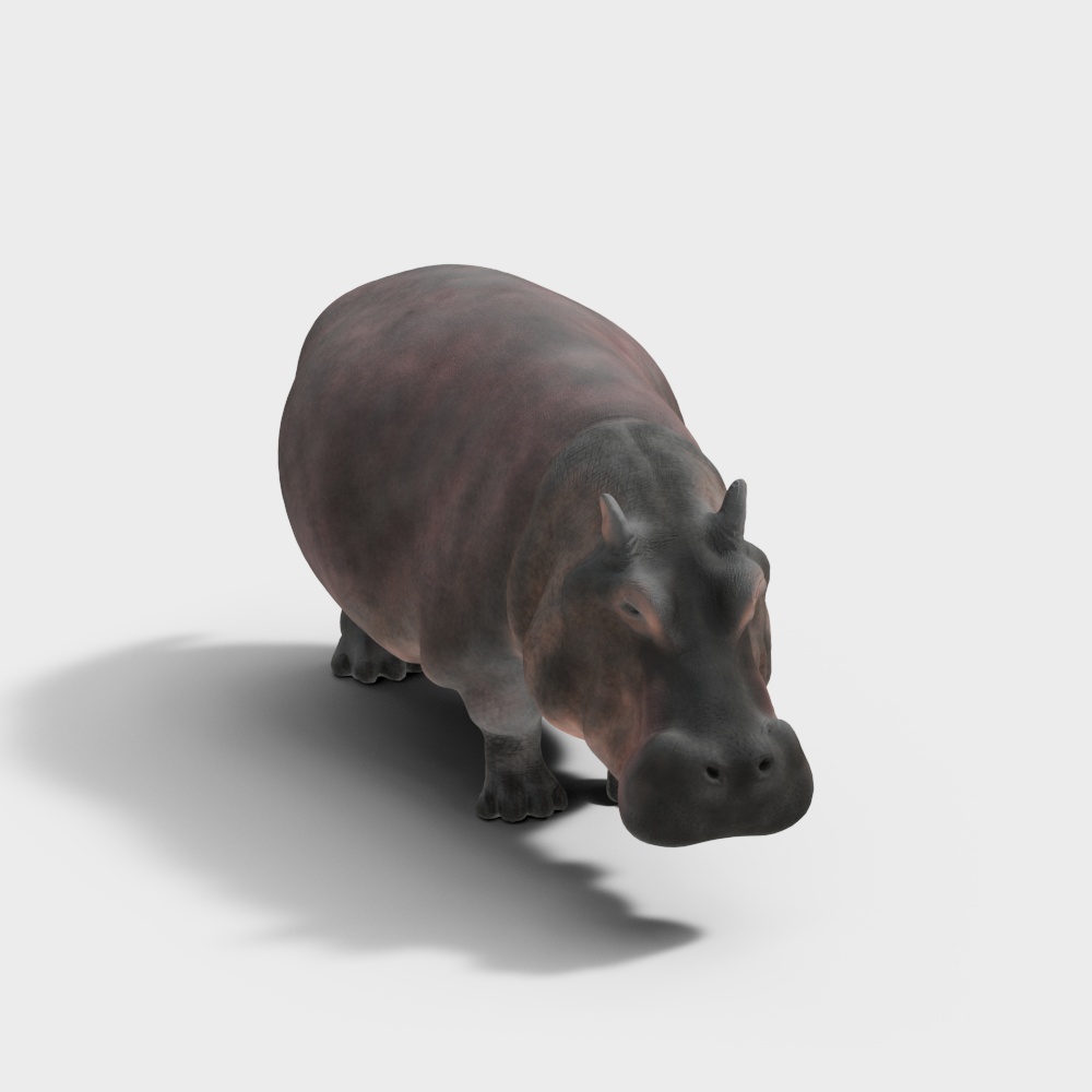 河马3D模型