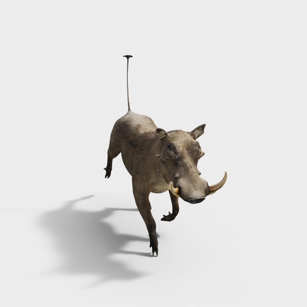 非洲野生动物牛3D模型