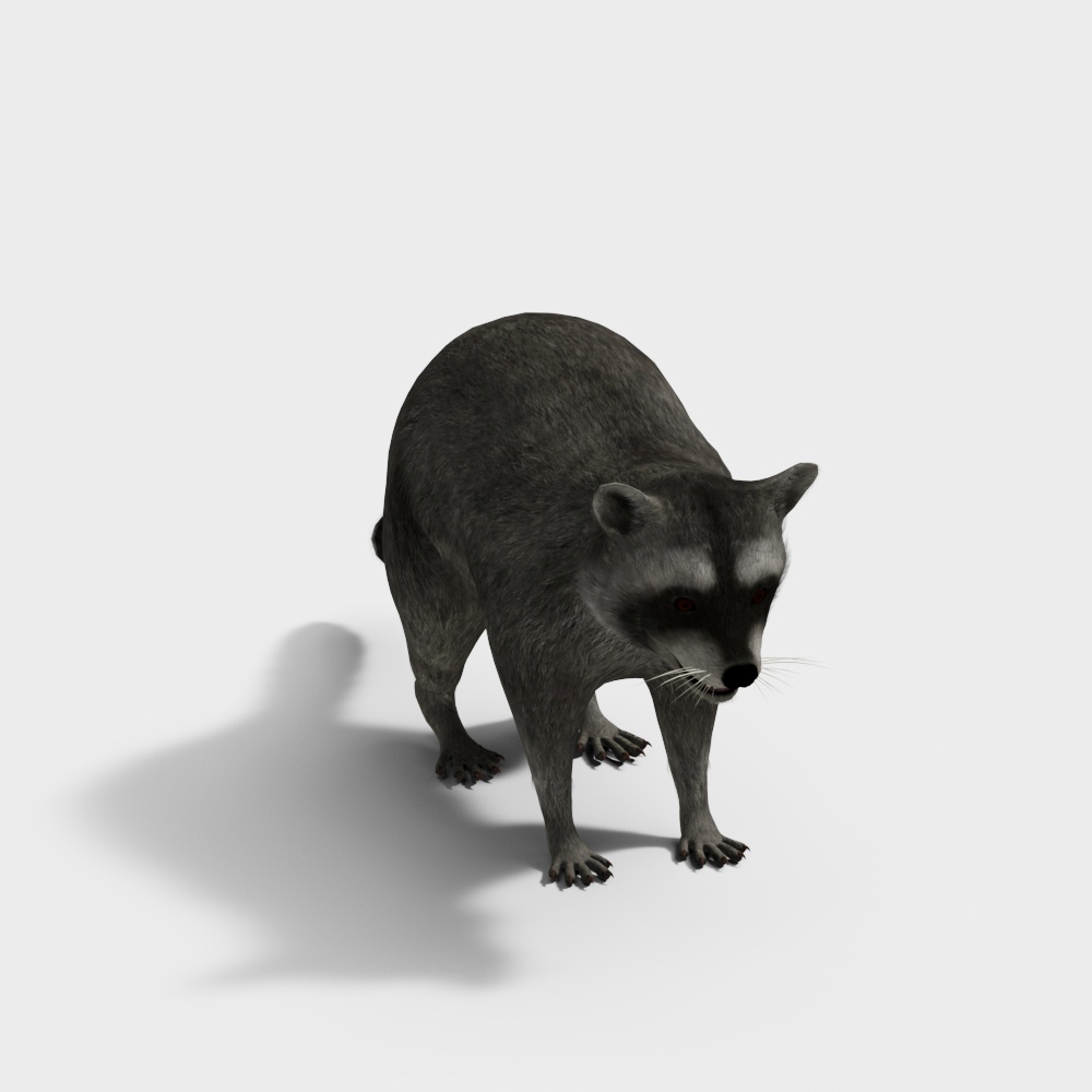 爬行动物浣熊3D模型