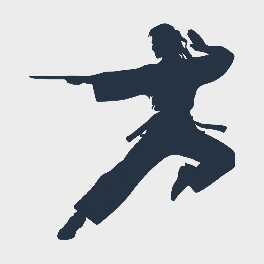 武术跆拳道剪影3D模型