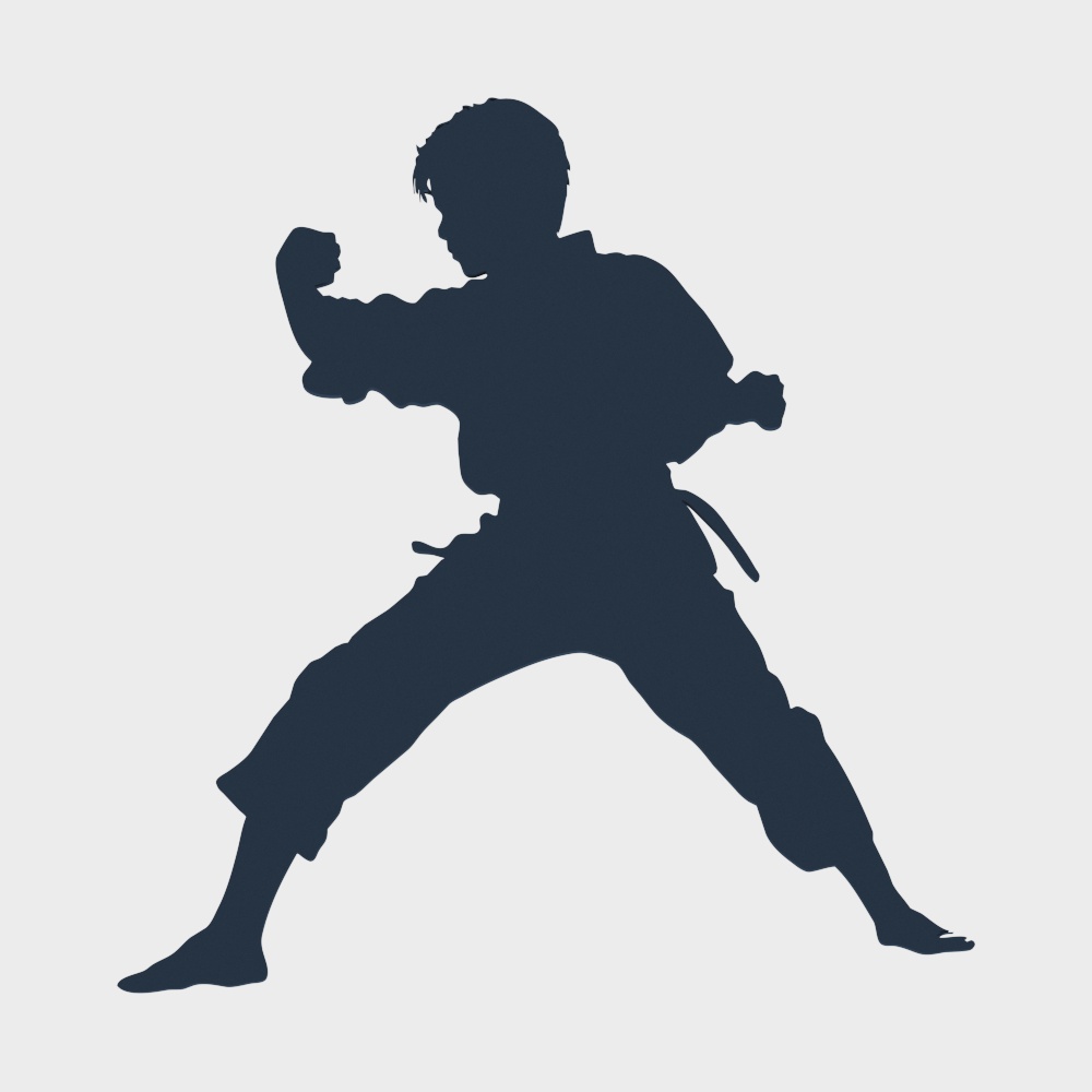 武术跆拳道剪影3D模型